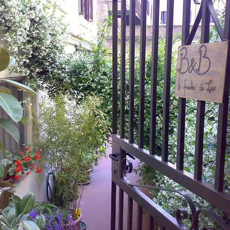 Le Finestre Di Luz 2*
